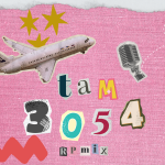 Voo TAM 3054: Lições de Gestão de Crises e Comunicação na maior tragédia da aviação brasileira